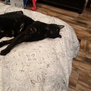 Meet your Posher, Kacie